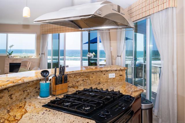 Watch the dolphin play in the surf and watch a show while you cook!