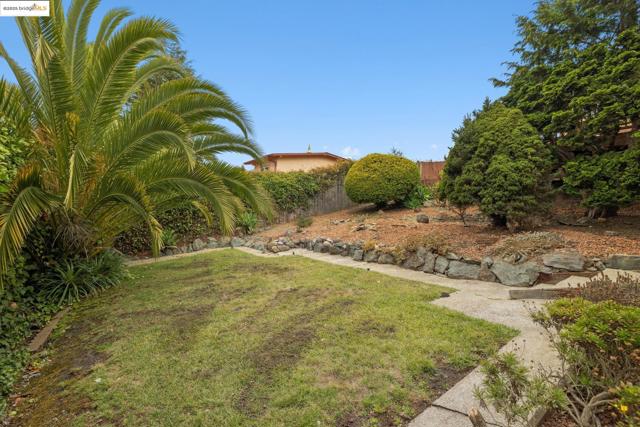 1494 Olive Ave, Richmond CA: https://media.crmls.org/mediaz/606ca950-f876-43e1-adb3-a2a3567bb9a2.jpg