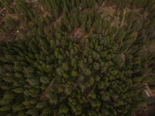 2120 Pack Trail, Mount Shasta CA: https://media.crmls.org/mediaz/607e6794-d502-4038-a27e-d26edb23776b.jpg