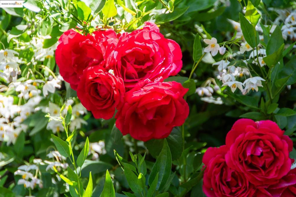 https://media.crmls.org/mediaz/60801c30-f854-481d-9a22-d309aef632a5.jpg?preset=X-Large