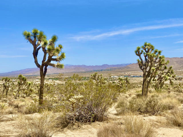 104 Bandera Road, Yucca Valley CA: https://media.crmls.org/mediaz/60870d33-3673-45cb-9051-1d363ed62ad3.jpg