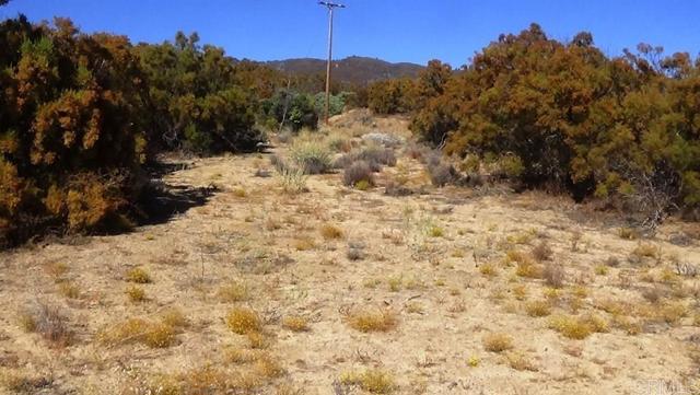 Detail Gallery Image 41 of 41 For 37245 Old Forest Rd, Anza,  CA 92539 - – Beds | – Baths