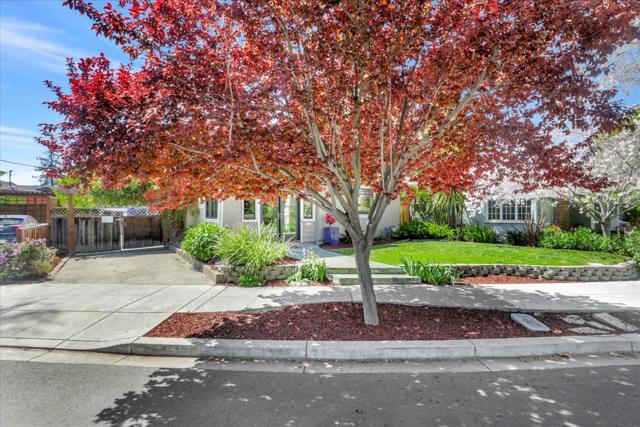 355 S 17th Street, San Jose CA: https://media.crmls.org/mediaz/608db57f-d8b0-4720-96cc-95aea3bad0d9.jpg