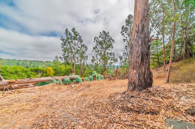 2646 El Camino Real, Salinas CA: https://media.crmls.org/mediaz/608eafc6-0f7c-4e38-8225-d74f5f378e45.jpg