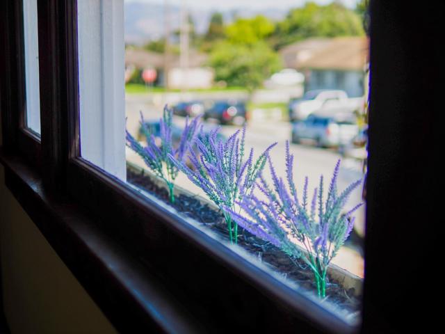 441 Center Street, Watsonville CA: https://media.crmls.org/mediaz/608faf87-af9f-404e-b303-70ed49a13637.jpg