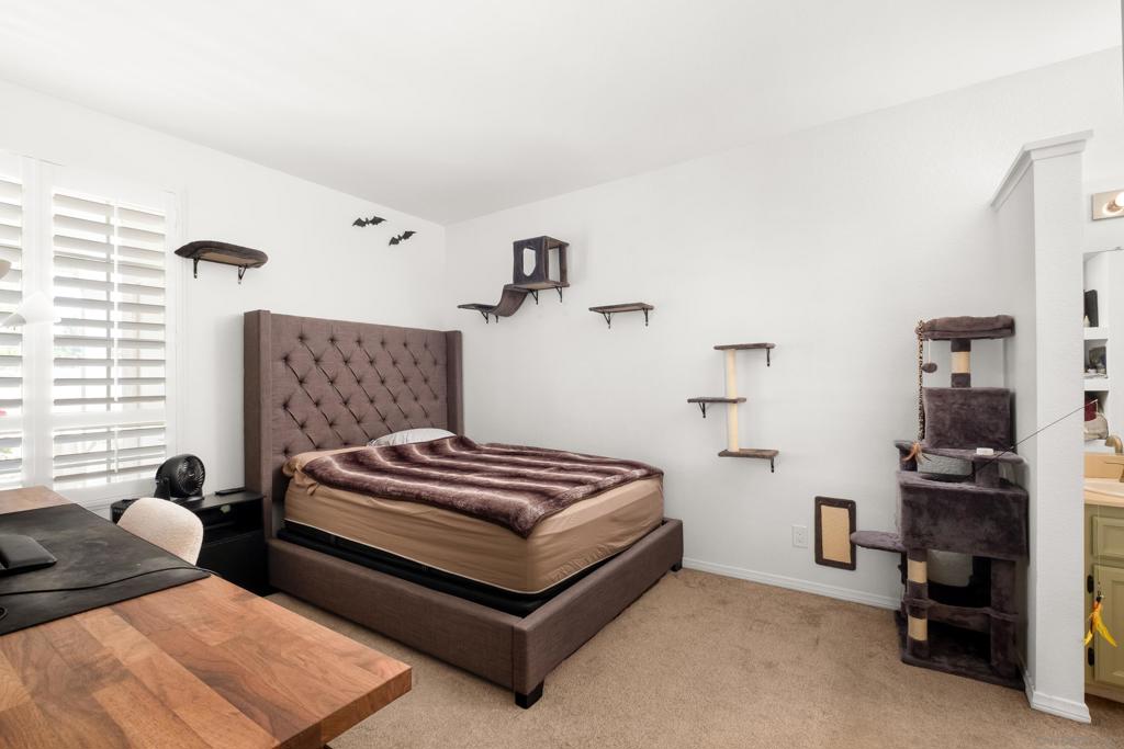 11525 Caminito La Bar - photo 12