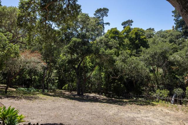 25524 Hatton Road, Carmel CA: https://media.crmls.org/mediaz/60a3a6ad-6a30-46a8-8a5e-2d40fd3d0c5e.jpg