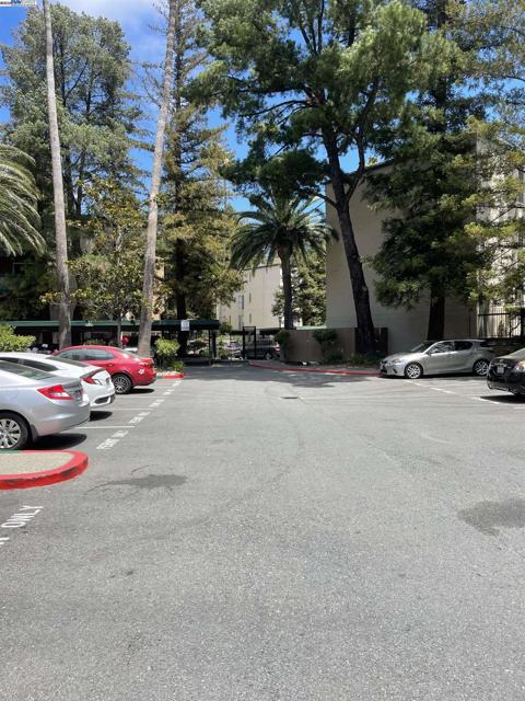 185 Sierra Dr, Walnut Creek CA: https://media.crmls.org/mediaz/60a5a9ef-e6a7-4cd6-aea4-8e8fc8131d4c.jpg