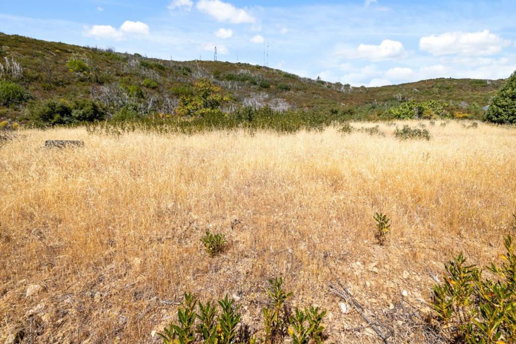 MLS #ML82020952 image #32