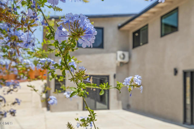 4035 W Avenue 42, Los Angeles CA: https://media.crmls.org/mediaz/60b07841-01a2-4bbe-a26c-6554ba3257a0.jpg