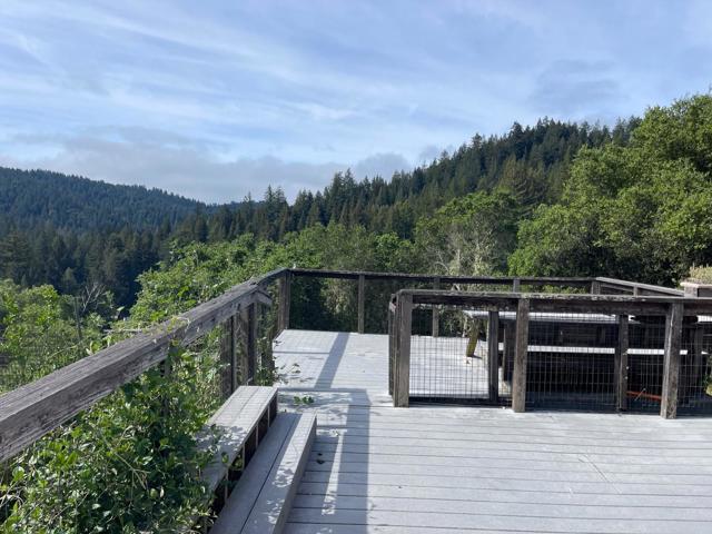 450 Hawk Ridge Road, Boulder Creek CA: https://media.crmls.org/mediaz/60bb9f2c-f239-4416-9dc7-6cc54b5c2e03.jpg