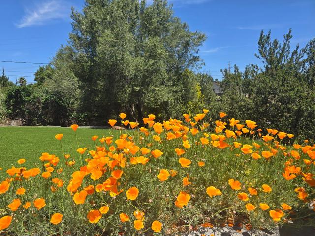 2 MESA DEL SOL,  CA: https://media.crmls.org/mediaz/60cb4d52-e5ab-4fb2-8797-8b97a4e8c99d.jpg