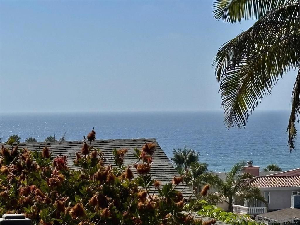 MLS #250043109SD image #52