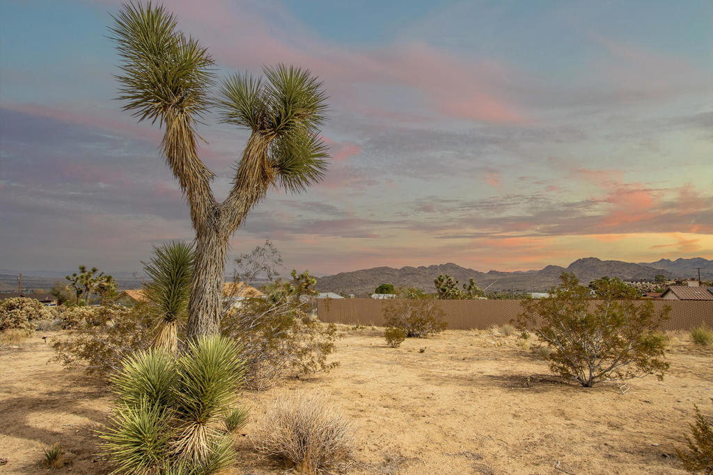 MLS #219139122PS image #2