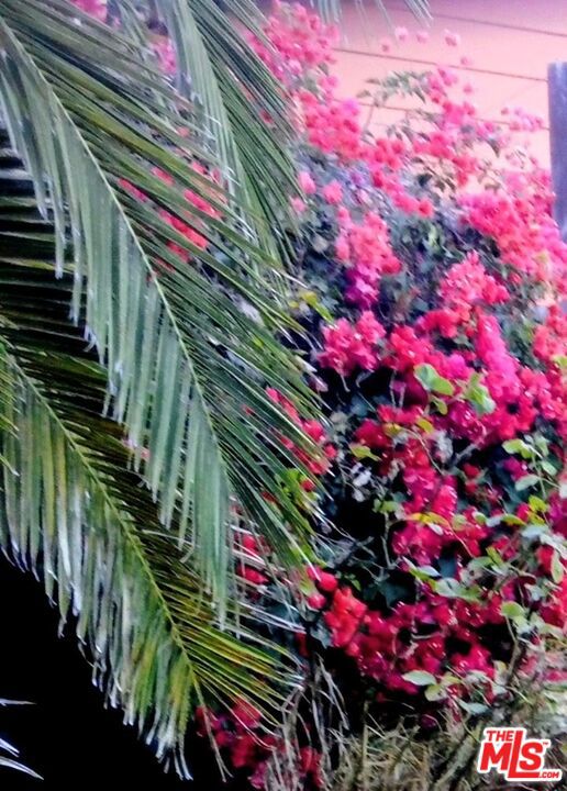 41 W Warner Street, Ventura CA: https://media.crmls.org/mediaz/60d173dd-9296-4505-bef4-e02b7449f4b1.jpg