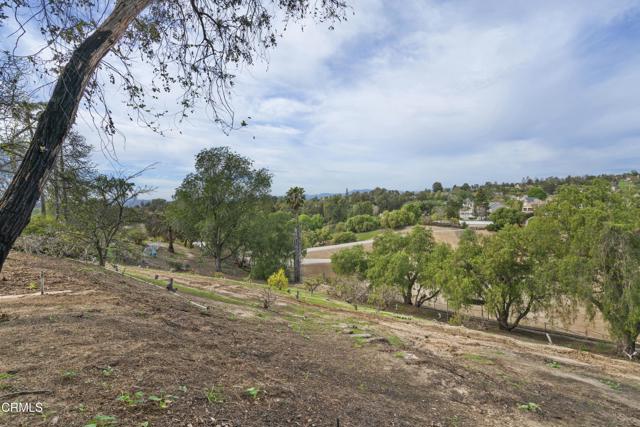 230 Avocado Place, Camarillo CA: https://media.crmls.org/mediaz/60d371e7-aa37-40f1-8e75-1fbb9b704d0b.jpg