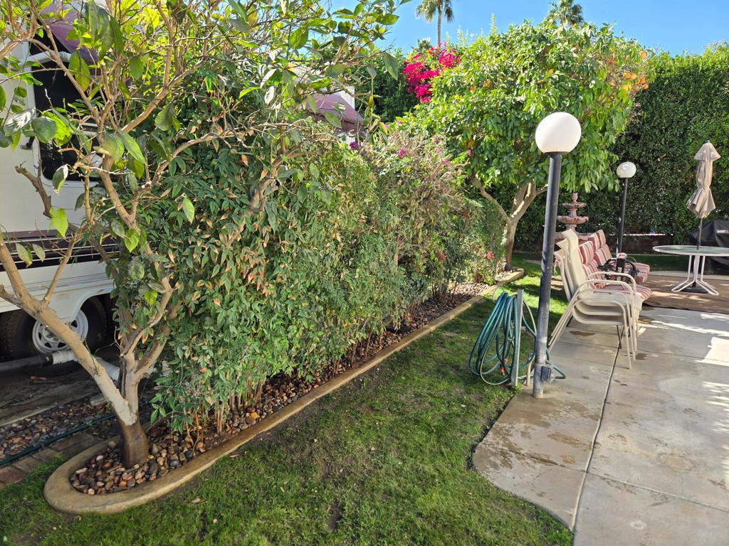 MLS #219123421DA image #3