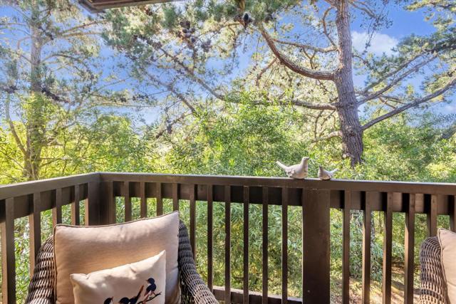 3334 Brittan Avenue, San Carlos CA: https://media.crmls.org/mediaz/60d55260-7b36-41a0-b5e7-ea136c3bf3ef.jpg