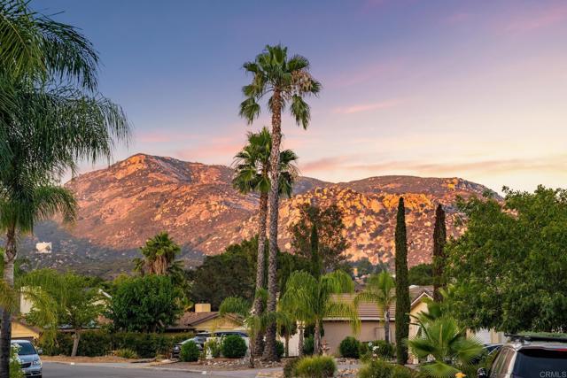 Detail Gallery Image 55 of 57 For 16403 Arena Dr., Ramona,  CA 92065 - 4 Beds | 3/1 Baths