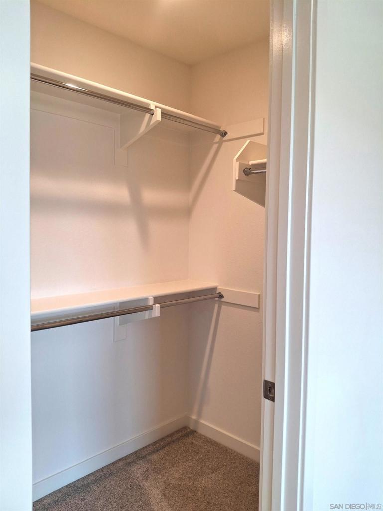 2586 Delphinium - photo 15