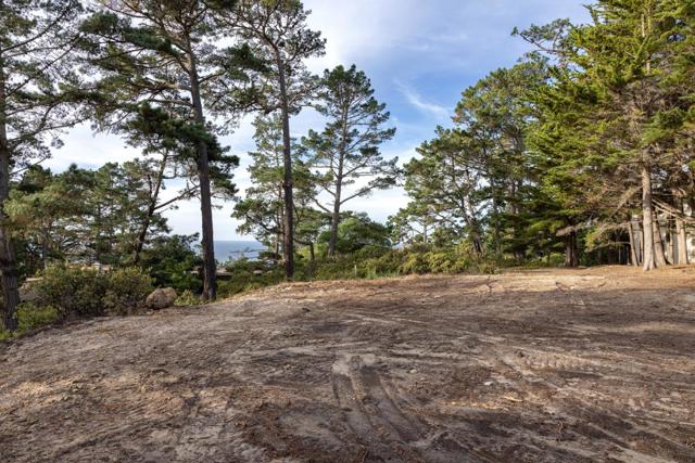 1634 Sonado Road, Pebble Beach CA: https://media.crmls.org/mediaz/60f25836-fbeb-4681-a5c5-85d81fd958c5.jpg