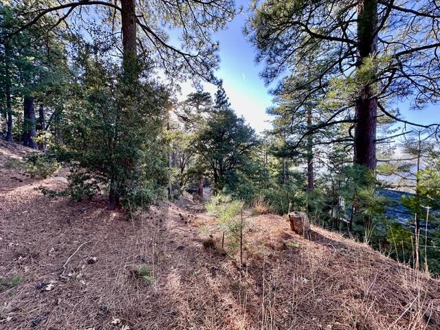 0 Green Craig, Idyllwild CA: https://media.crmls.org/mediaz/60fd649a-5794-4ee9-9005-e9a00bce4992.jpg