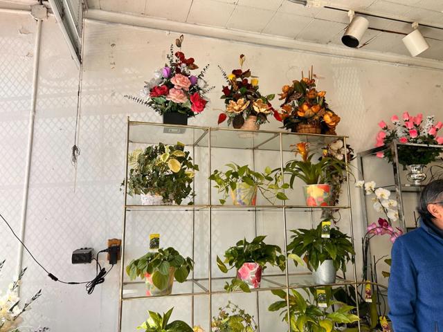 915 E Julian Street, San Jose CA: https://media.crmls.org/mediaz/61058b4a-f10a-4341-9604-7d4a0ab4f65f.jpg