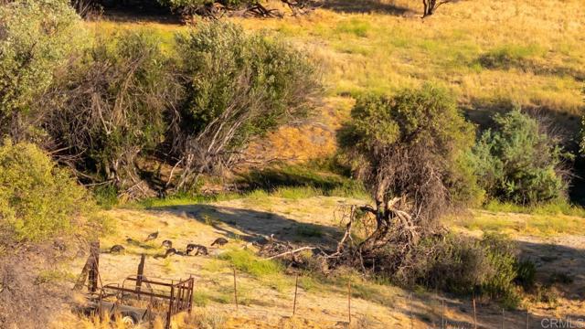 Detail Gallery Image 40 of 45 For 33805 Highway 94, Campo,  CA 91906 - 5 Beds | 3/2 Baths