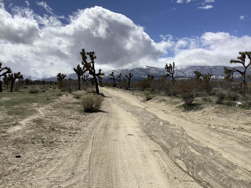0 La Mesa Road, Pinon Hills, CA 92372