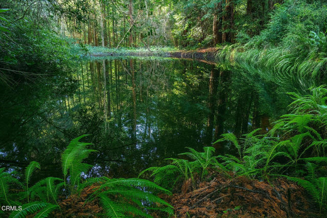 Detail Gallery Image 4 of 16 For 43535 Comptche Ukiah Rd, Mendocino,  CA 95460 - – Beds | – Baths