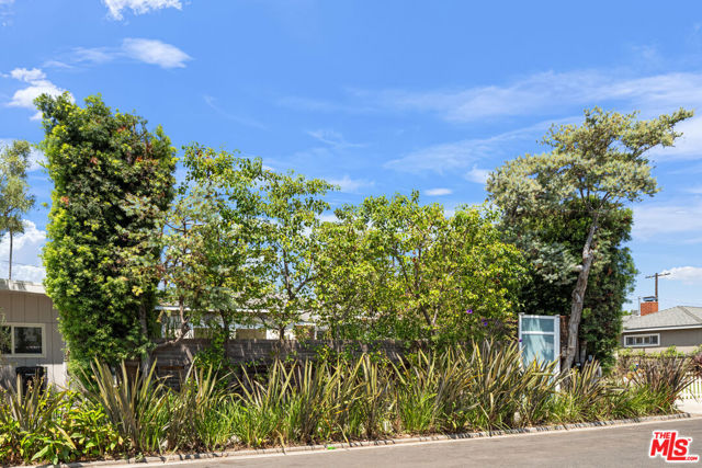 2425 Cloy Avenue, Venice CA: https://media.crmls.org/mediaz/6120d9c9-83a0-47ce-97b9-9a9721c43b1a.jpg
