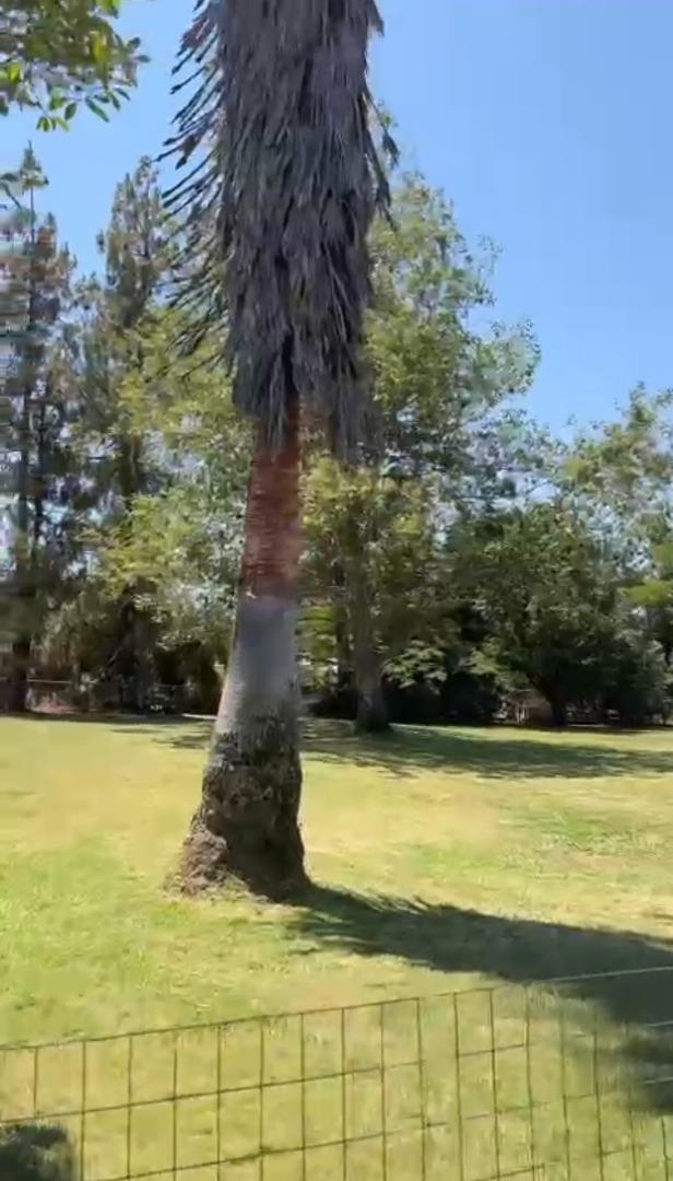 12445 Alta Mesa Road, Herald CA: https://media.crmls.org/mediaz/6121b2fe-25f2-4f30-8b66-3a5e70425555.jpg