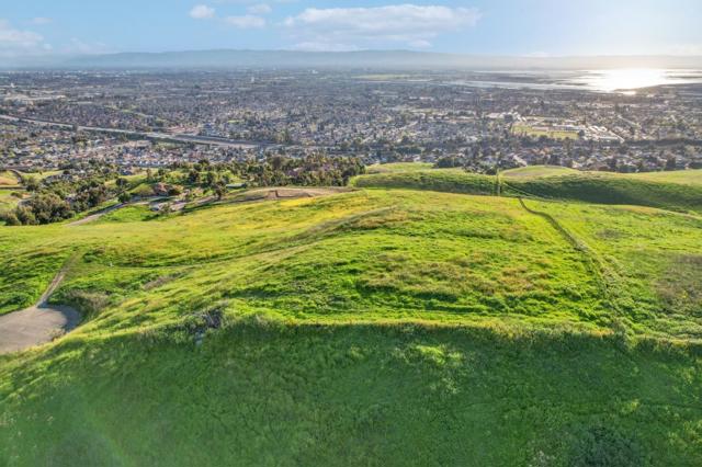 1339 Terra Vista Court, Milpitas CA: https://media.crmls.org/mediaz/612a75a5-80e7-4d99-8251-3cd93435a4e5.jpg