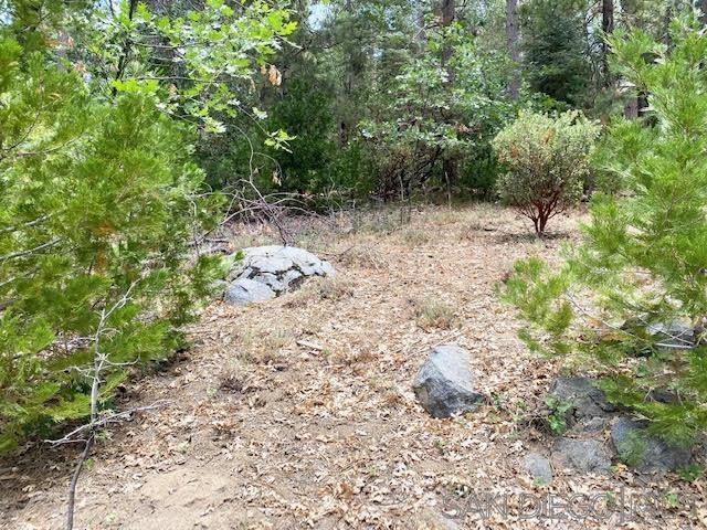 7 MB 019 / 047, Idyllwild, CA 92549