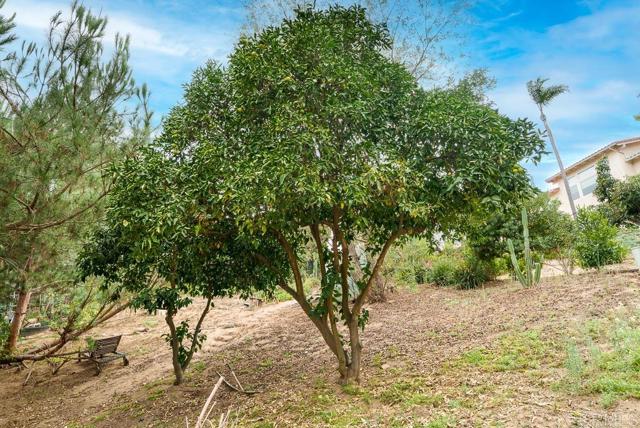 2719 Via Del Robles, Fallbrook CA: https://media.crmls.org/mediaz/6132082d-3da4-41b2-8924-9af44deaffad.jpg