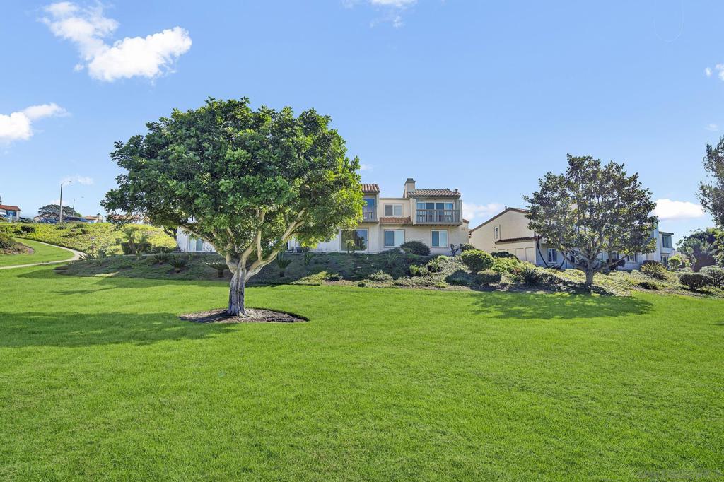 901 Caminito Estrada - photo 13