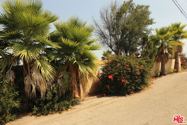 24734 W Saddle Peak Road, Malibu CA: https://media.crmls.org/mediaz/614c9d19-ad52-4ceb-a106-9430d3c77a9e.jpg