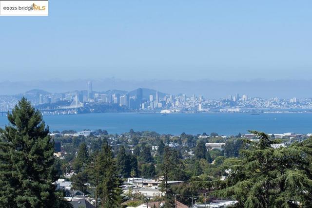 1398 Scenic Ave, Berkeley CA: https://media.crmls.org/mediaz/6151dd73-0fe8-4ad0-ae6e-315652073022.jpg