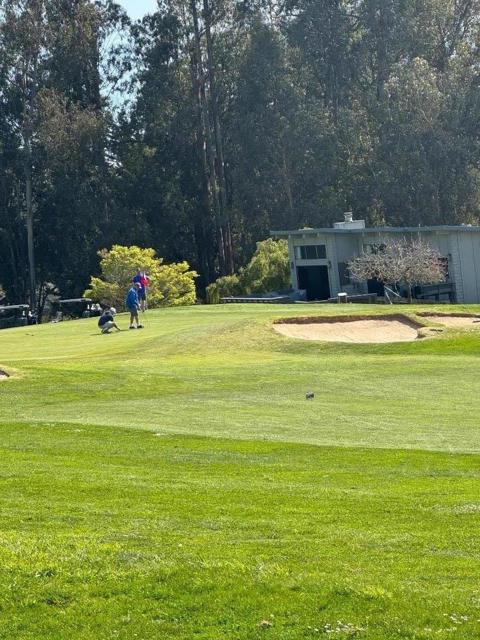 414 Belle Monti Court, Aptos CA: https://media.crmls.org/mediaz/6169b439-02ea-40ef-b172-e0097e74b355.jpg