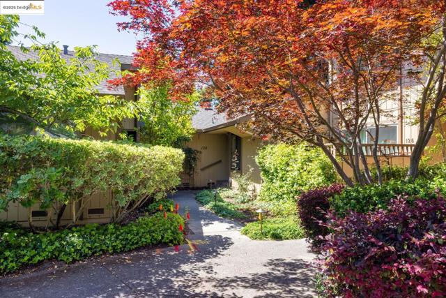 128 Alamo Sq, Alamo CA: https://media.crmls.org/mediaz/616d14ff-2cb9-4486-bf64-f8da00674e7b.jpg