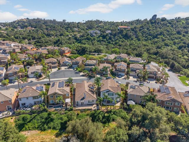 Detail Gallery Image 49 of 60 For 10254 Spruce Woodlands Way, Escondido,  CA 92026 - 3 Beds | 2 Baths