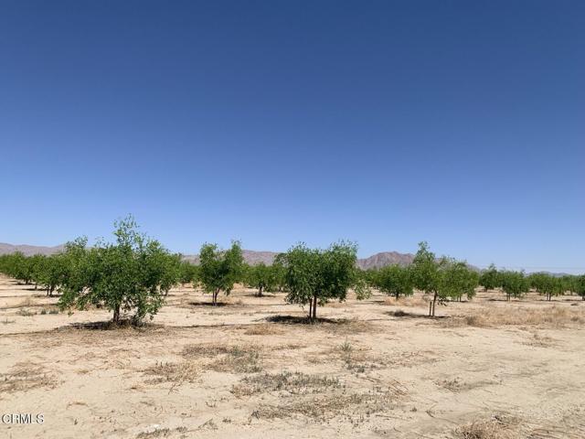 12500 Locust Avenue, Lucerne Valley CA: https://media.crmls.org/mediaz/61723273-5a9d-4828-988e-c5810c0c53f0.jpg