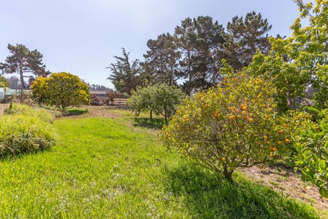 125 Springfield Road, Moss Landing CA: https://media.crmls.org/mediaz/61777e49-e214-4b9d-80e4-754b703f958f.jpg
