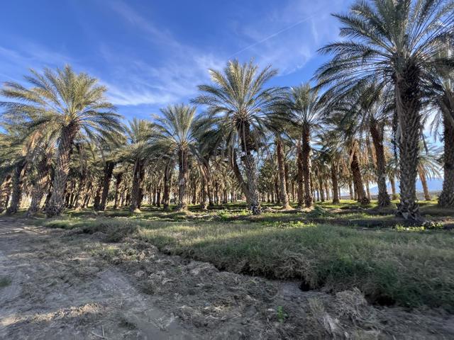 0 Nwc Pierce St & Ave 64, Thermal CA: https://media.crmls.org/mediaz/618060c0-5114-4ca4-aa8e-c9858fb79877.jpg