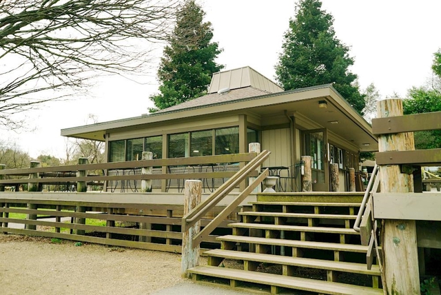 4515 Ewing Rd, Castro Valley CA: https://media.crmls.org/mediaz/6186b3ed-7583-4181-8087-b1bdd841e4bc.jpg