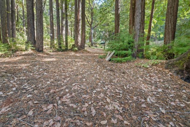 19900 Kings Creek Road, Boulder Creek CA: https://media.crmls.org/mediaz/6188a7c4-f93f-4198-b5a9-e79c7804ed0f.jpg