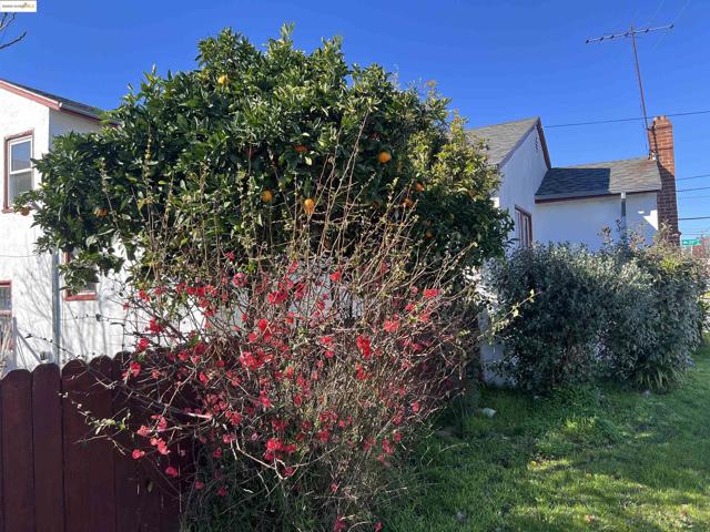 3486 39th Ave, Oakland, California 94619, ,Multi-Family,For Sale,39th Ave,41083522