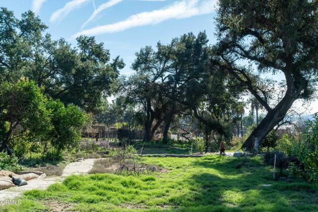 Detail Gallery Image 12 of 21 For 1134 E Altadena Dr, Altadena,  CA 91001 - – Beds | – Baths