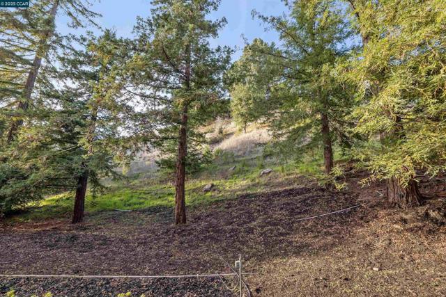 4104 El Nido Ranch Rd, Lafayette CA: https://media.crmls.org/mediaz/61a38eb5-72f4-4536-b8dc-4acc33867cde.jpg