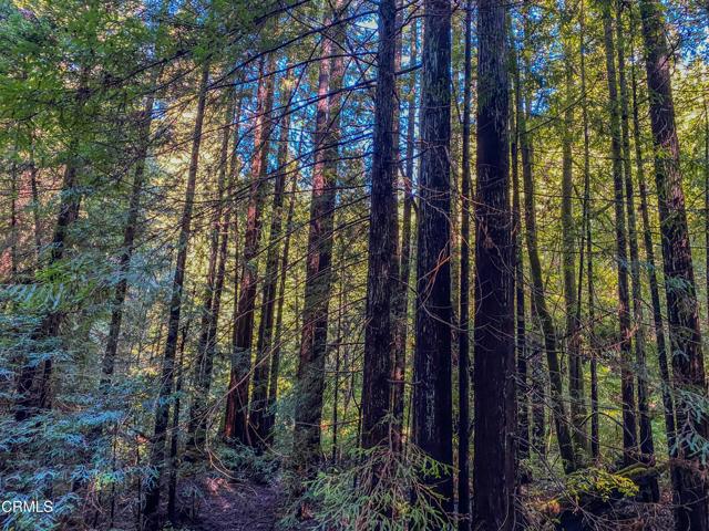 0 Irmulco Road, Willits CA: https://media.crmls.org/mediaz/61a61952-f9e7-4834-87bf-46d1cfc1d7c8.jpg